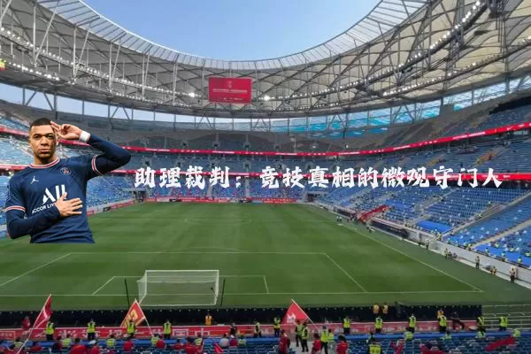 助理裁判：竞技真相的微观守门人